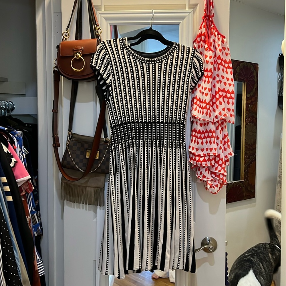 Maeve Cap Sleeve black and white pleated dress